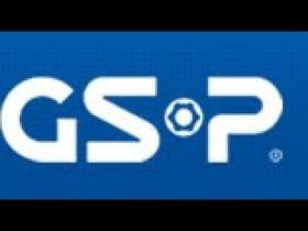 GSP S100419
